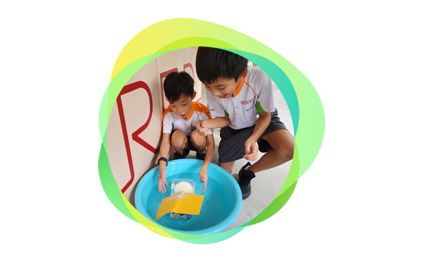 Applied Learning Programme